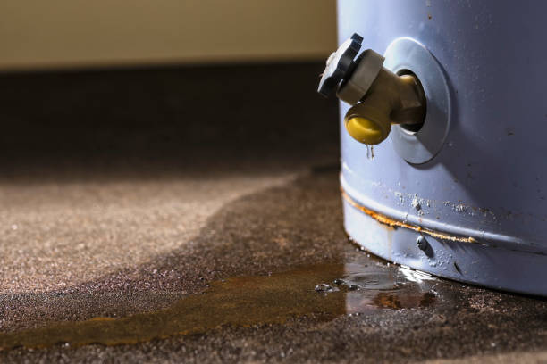 Best 24-hour water damage restoration  in San Antonio Heights, CA