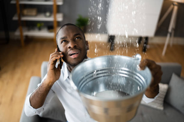 Best Water damage mitigation services  in San Antonio Heights, CA
