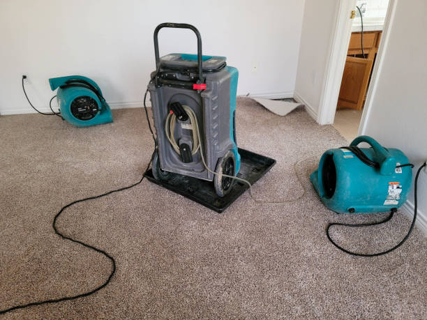Best Flooded house restoration  in San Antonio Heights, CA