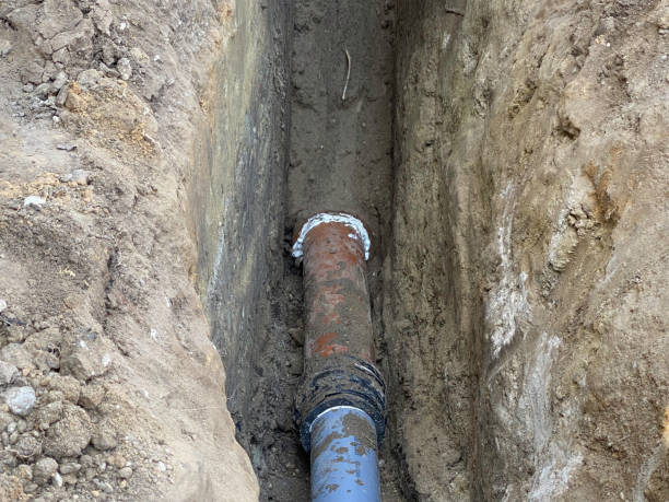 Best Basement water damage restoration  in San Antonio Heights, CA