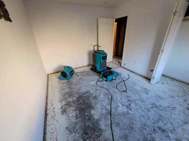 Best 24/7 water damage repair  in San Antonio Heights, CA