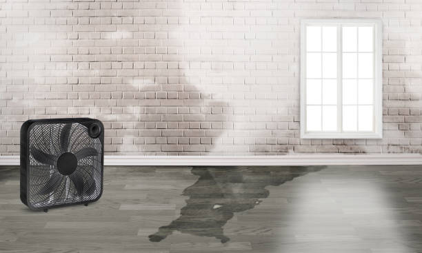 Best Commercial water damage restoration  in San Antonio Heights, CA