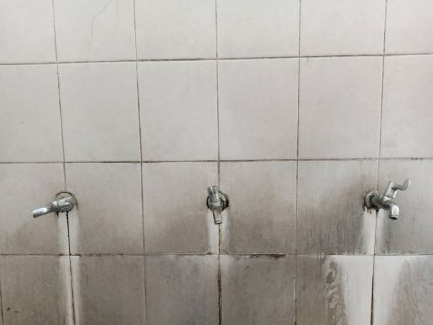 Best Sewage cleanup and water damage restoration  in San Antonio Heights, CA
