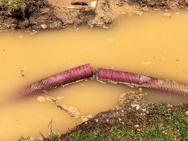 Best Local water damage restoration  in San Antonio Heights, CA