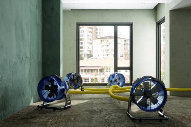  San Antonio Heights, CA Water damage restoration Pros