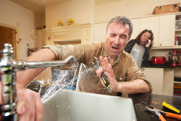 Best Water damage cleanup near me  in San Antonio Heights, CA
